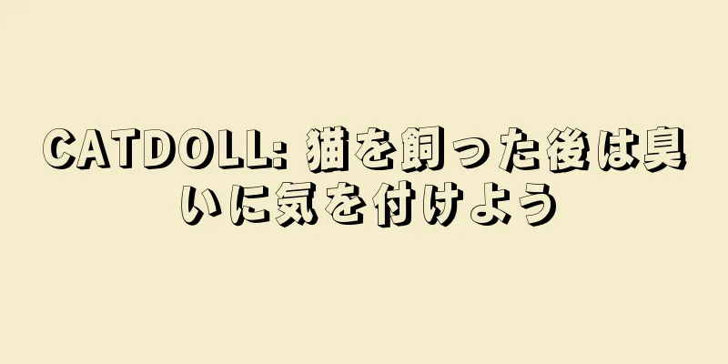 CATDOLL: 猫を飼った後は臭いに気を付けよう