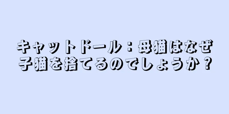 キャットドール：母猫はなぜ子猫を捨てるのでしょうか？