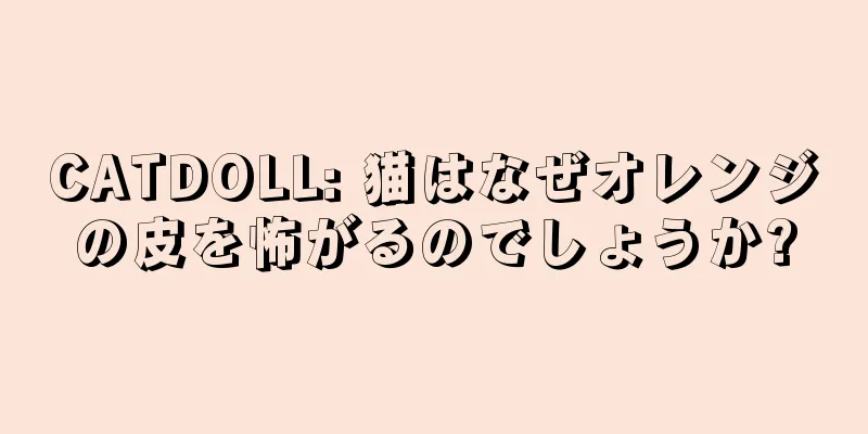 CATDOLL: 猫はなぜオレンジの皮を怖がるのでしょうか?