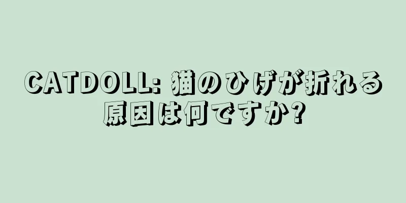 CATDOLL: 猫のひげが折れる原因は何ですか?