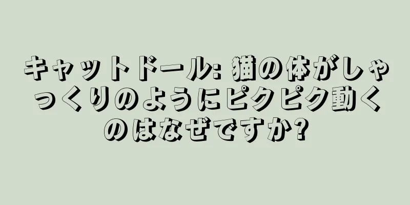 キャットドール: 猫の体がしゃっくりのようにピクピク動くのはなぜですか?