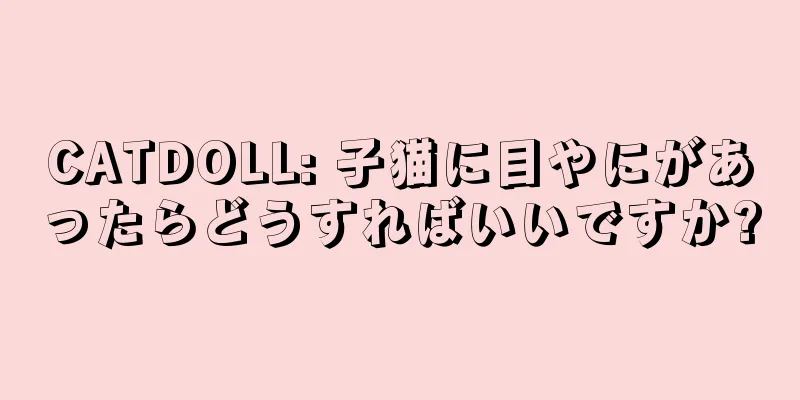 CATDOLL: 子猫に目やにがあったらどうすればいいですか?
