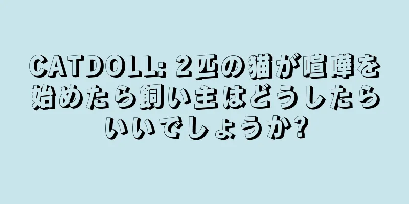 CATDOLL: 2匹の猫が喧嘩を始めたら飼い主はどうしたらいいでしょうか?