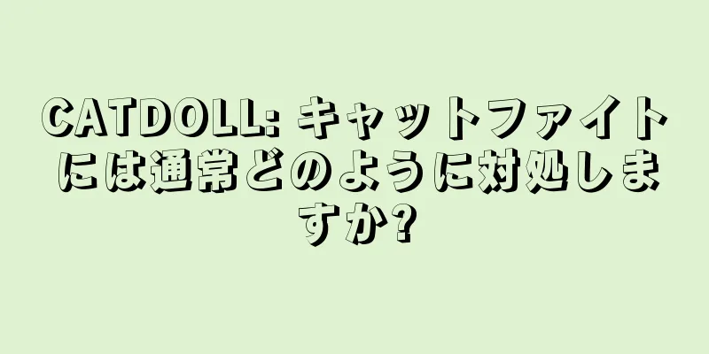 CATDOLL: キャットファイトには通常どのように対処しますか?