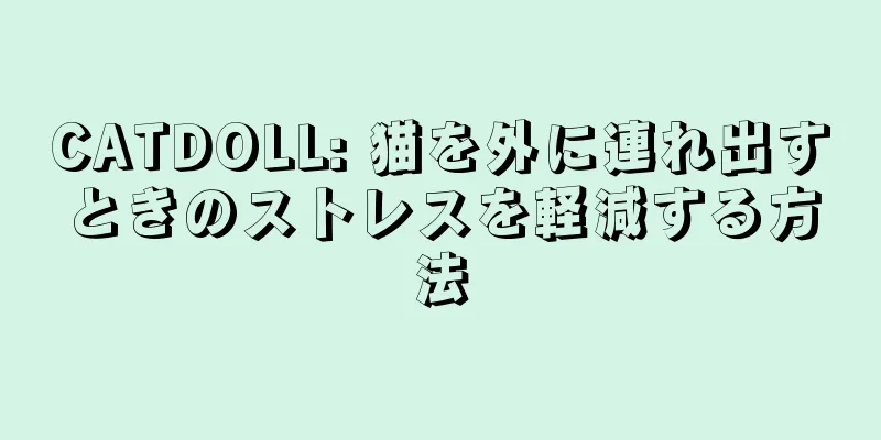 CATDOLL: 猫を外に連れ出すときのストレスを軽減する方法