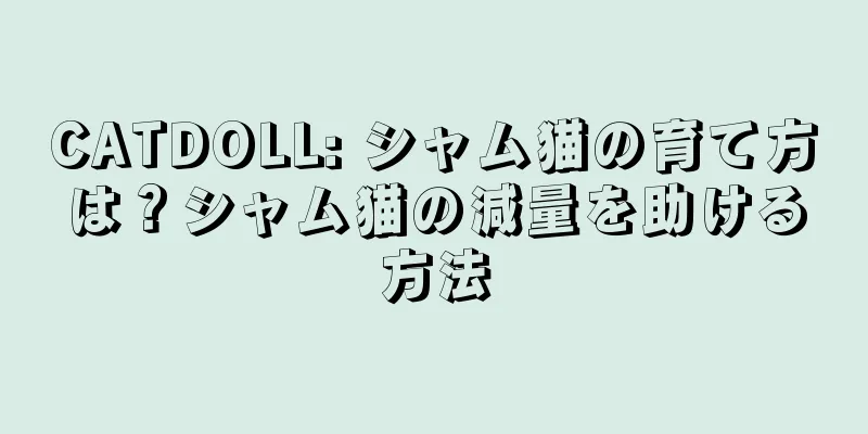 CATDOLL: シャム猫の育て方は？シャム猫の減量を助ける方法