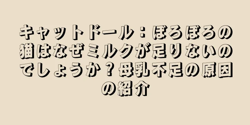 キャットドール：ぼろぼろの猫はなぜミルクが足りないのでしょうか？母乳不足の原因の紹介