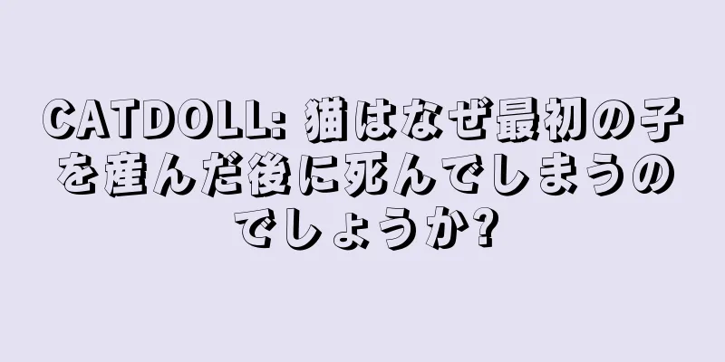 CATDOLL: 猫はなぜ最初の子を産んだ後に死んでしまうのでしょうか?
