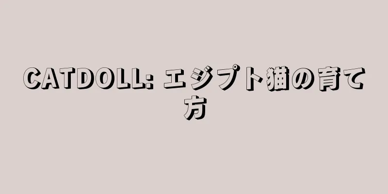 CATDOLL: エジプト猫の育て方