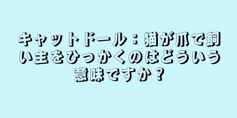 キャットドール：猫が爪で飼い主をひっかくのはどういう意味ですか？