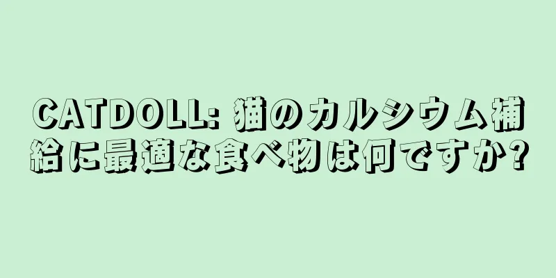 CATDOLL: 猫のカルシウム補給に最適な食べ物は何ですか?