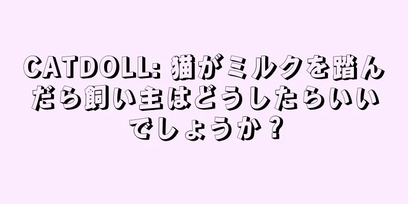 CATDOLL: 猫がミルクを踏んだら飼い主はどうしたらいいでしょうか？