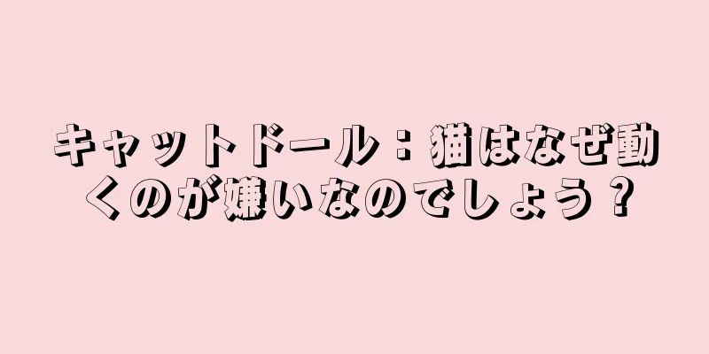 キャットドール：猫はなぜ動くのが嫌いなのでしょう？