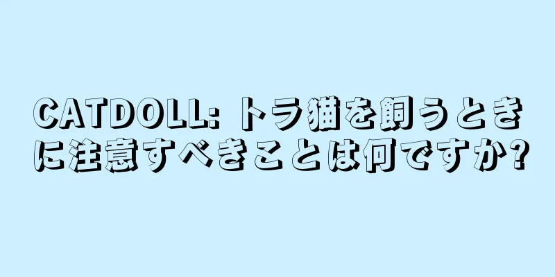 CATDOLL: トラ猫を飼うときに注意すべきことは何ですか?