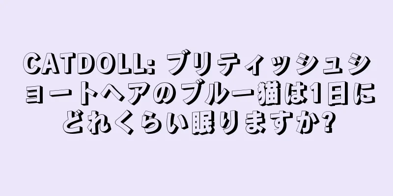 CATDOLL: ブリティッシュショートヘアのブルー猫は1日にどれくらい眠りますか?