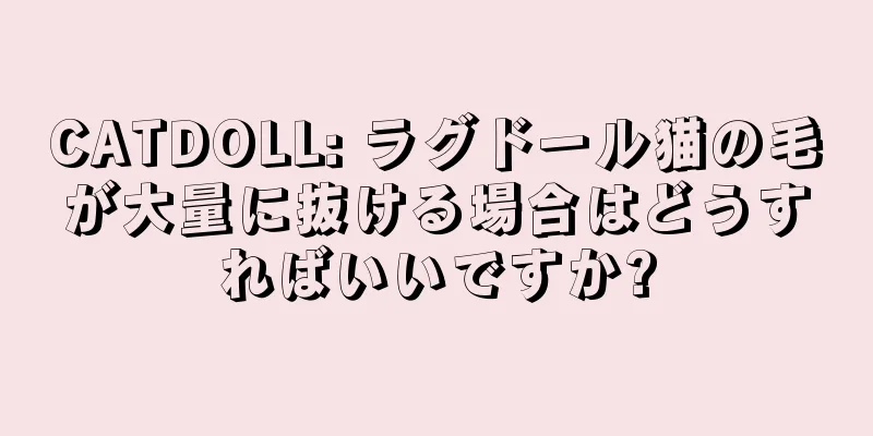 CATDOLL: ラグドール猫の毛が大量に抜ける場合はどうすればいいですか?