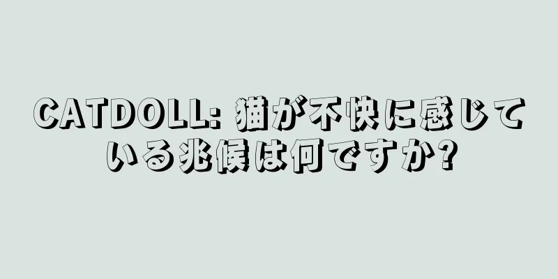 CATDOLL: 猫が不快に感じている兆候は何ですか?