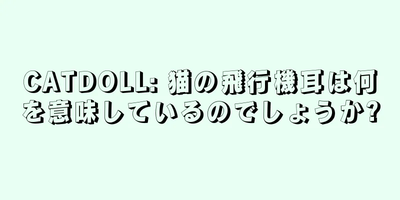 CATDOLL: 猫の飛行機耳は何を意味しているのでしょうか?