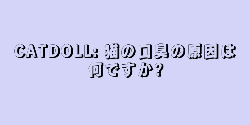 CATDOLL: 猫の口臭の原因は何ですか?