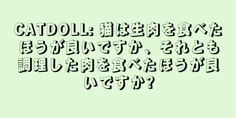 CATDOLL: 猫は生肉を食べたほうが良いですか、それとも調理した肉を食べたほうが良いですか?