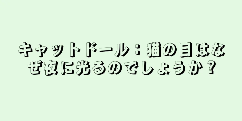 キャットドール：猫の目はなぜ夜に光るのでしょうか？