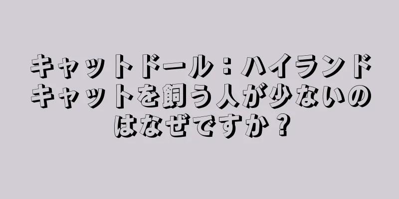 キャットドール：ハイランドキャットを飼う人が少ないのはなぜですか？