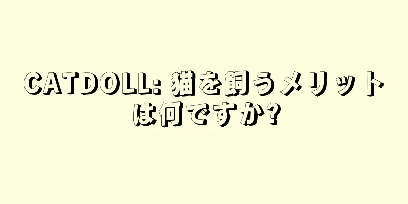 CATDOLL: 猫を飼うメリットは何ですか?