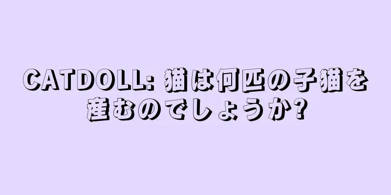 CATDOLL: 猫は何匹の子猫を産むのでしょうか?