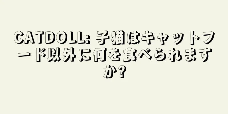 CATDOLL: 子猫はキャットフード以外に何を食べられますか?