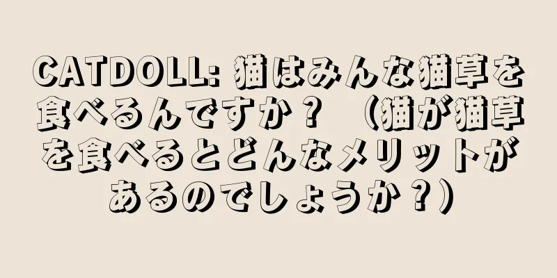 CATDOLL: 猫はみんな猫草を食べるんですか？ （猫が猫草を食べるとどんなメリットがあるのでしょうか？）
