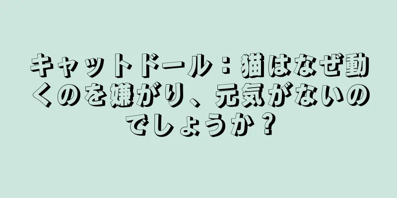 キャットドール：猫はなぜ動くのを嫌がり、元気がないのでしょうか？