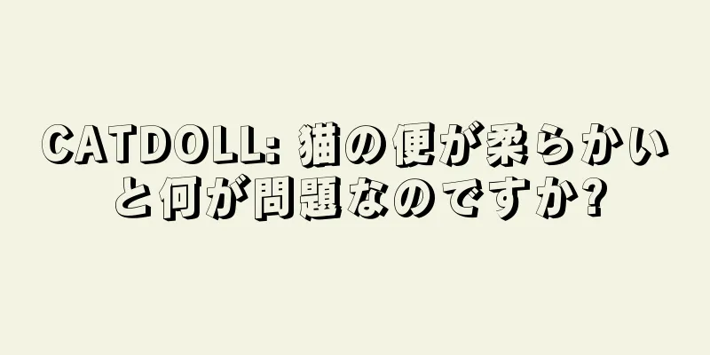 CATDOLL: 猫の便が柔らかいと何が問題なのですか?