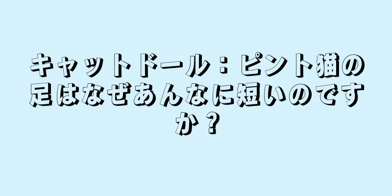キャットドール：ピント猫の足はなぜあんなに短いのですか？
