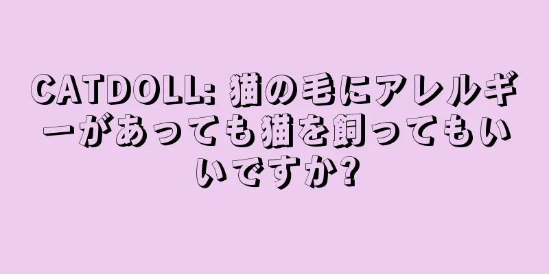 CATDOLL: 猫の毛にアレルギーがあっても猫を飼ってもいいですか?