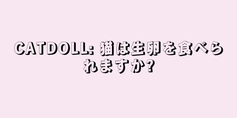 CATDOLL: 猫は生卵を食べられますか?