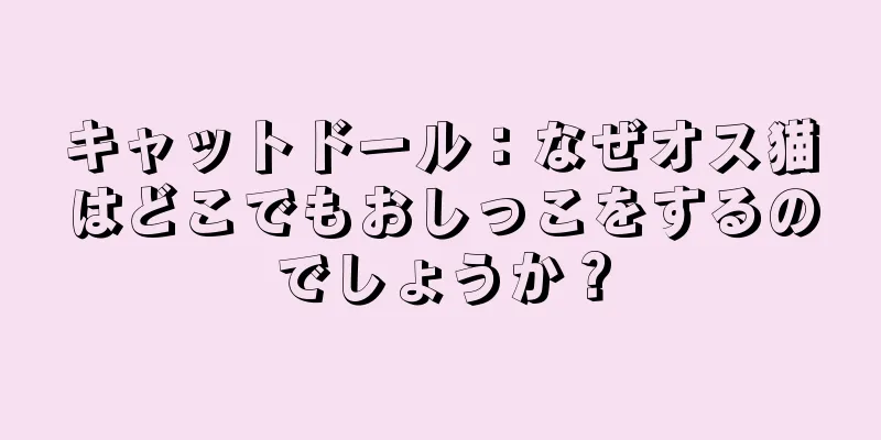 キャットドール：なぜオス猫はどこでもおしっこをするのでしょうか？