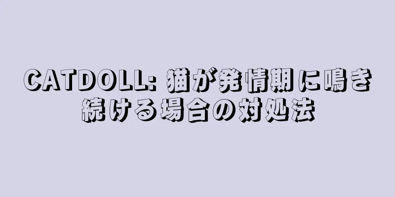 CATDOLL: 猫が発情期に鳴き続ける場合の対処法