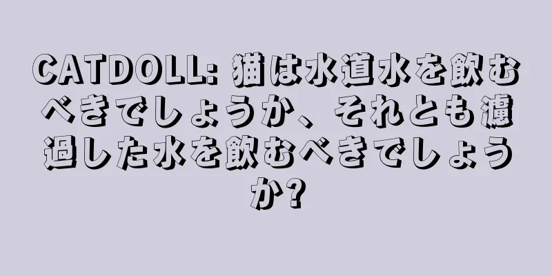 CATDOLL: 猫は水道水を飲むべきでしょうか、それとも濾過した水を飲むべきでしょうか?