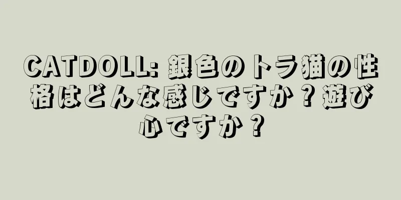 CATDOLL: 銀色のトラ猫の性格はどんな感じですか？遊び心ですか？