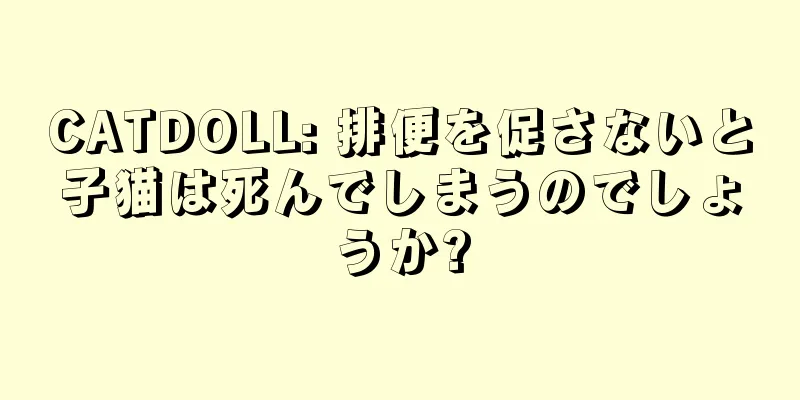 CATDOLL: 排便を促さないと子猫は死んでしまうのでしょうか?