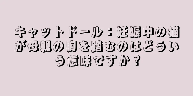 キャットドール：妊娠中の猫が母親の胸を踏むのはどういう意味ですか？