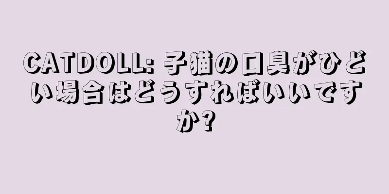 CATDOLL: 子猫の口臭がひどい場合はどうすればいいですか?