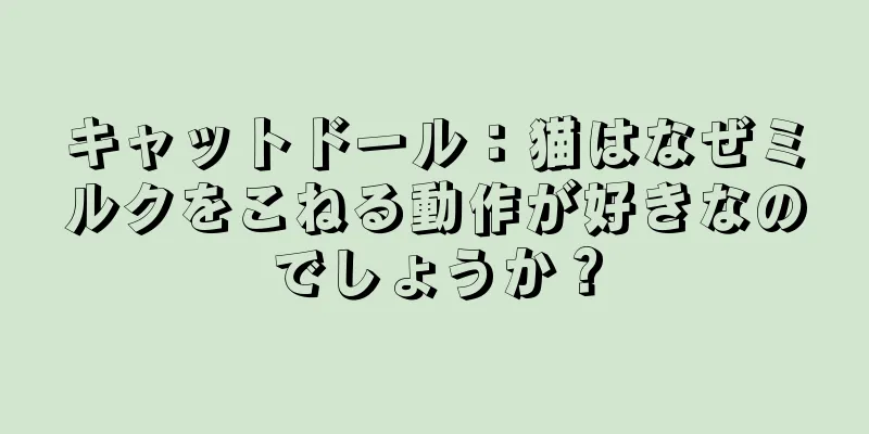 キャットドール：猫はなぜミルクをこねる動作が好きなのでしょうか？