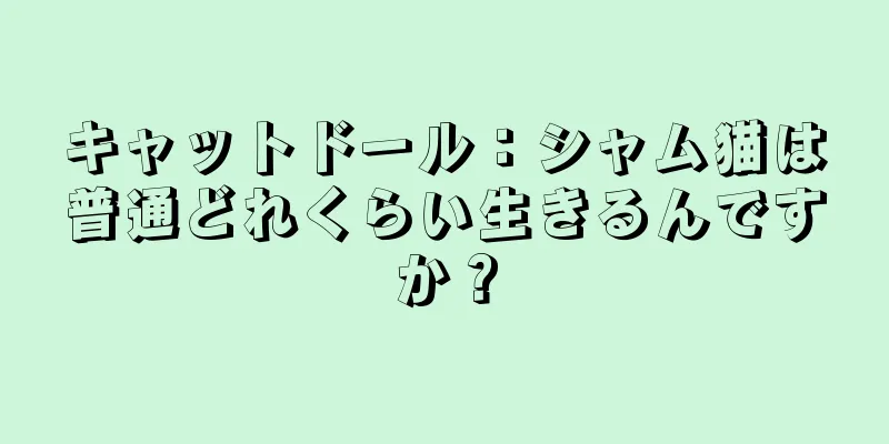 キャットドール：シャム猫は普通どれくらい生きるんですか？