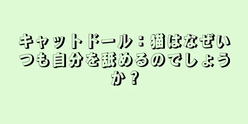 キャットドール：猫はなぜいつも自分を舐めるのでしょうか？