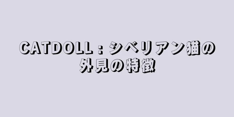 CATDOLL : シベリアン猫の外見の特徴