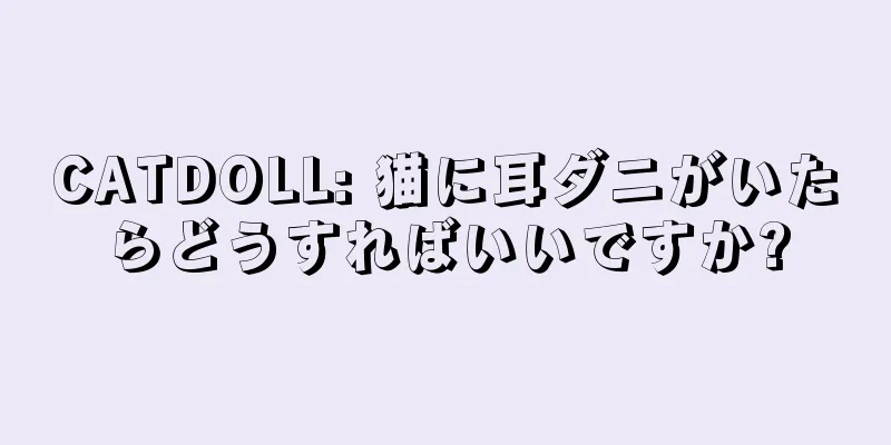 CATDOLL: 猫に耳ダニがいたらどうすればいいですか?