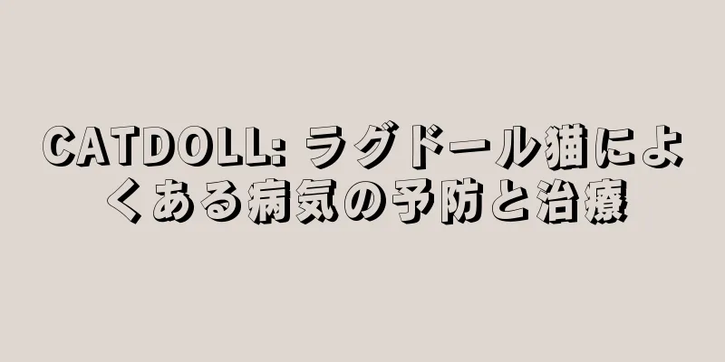 CATDOLL: ラグドール猫によくある病気の予防と治療