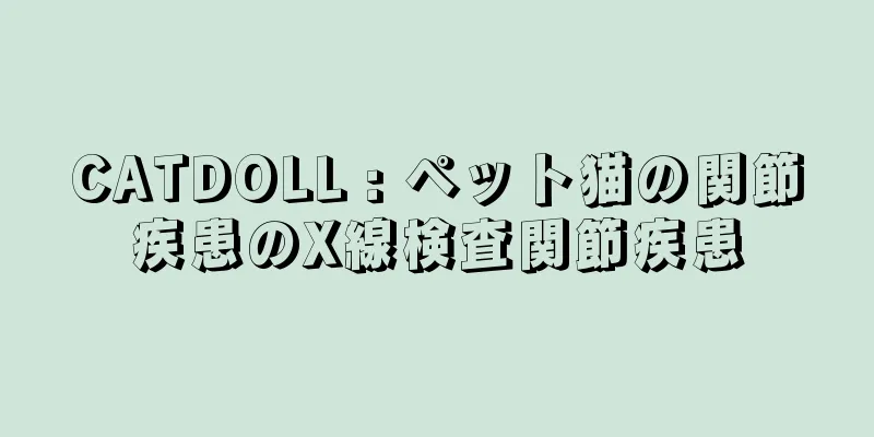 CATDOLL : ペット猫の関節疾患のX線検査関節疾患