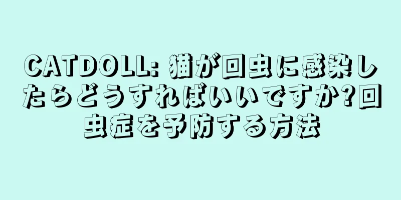 CATDOLL: 猫が回虫に感染したらどうすればいいですか?回虫症を予防する方法